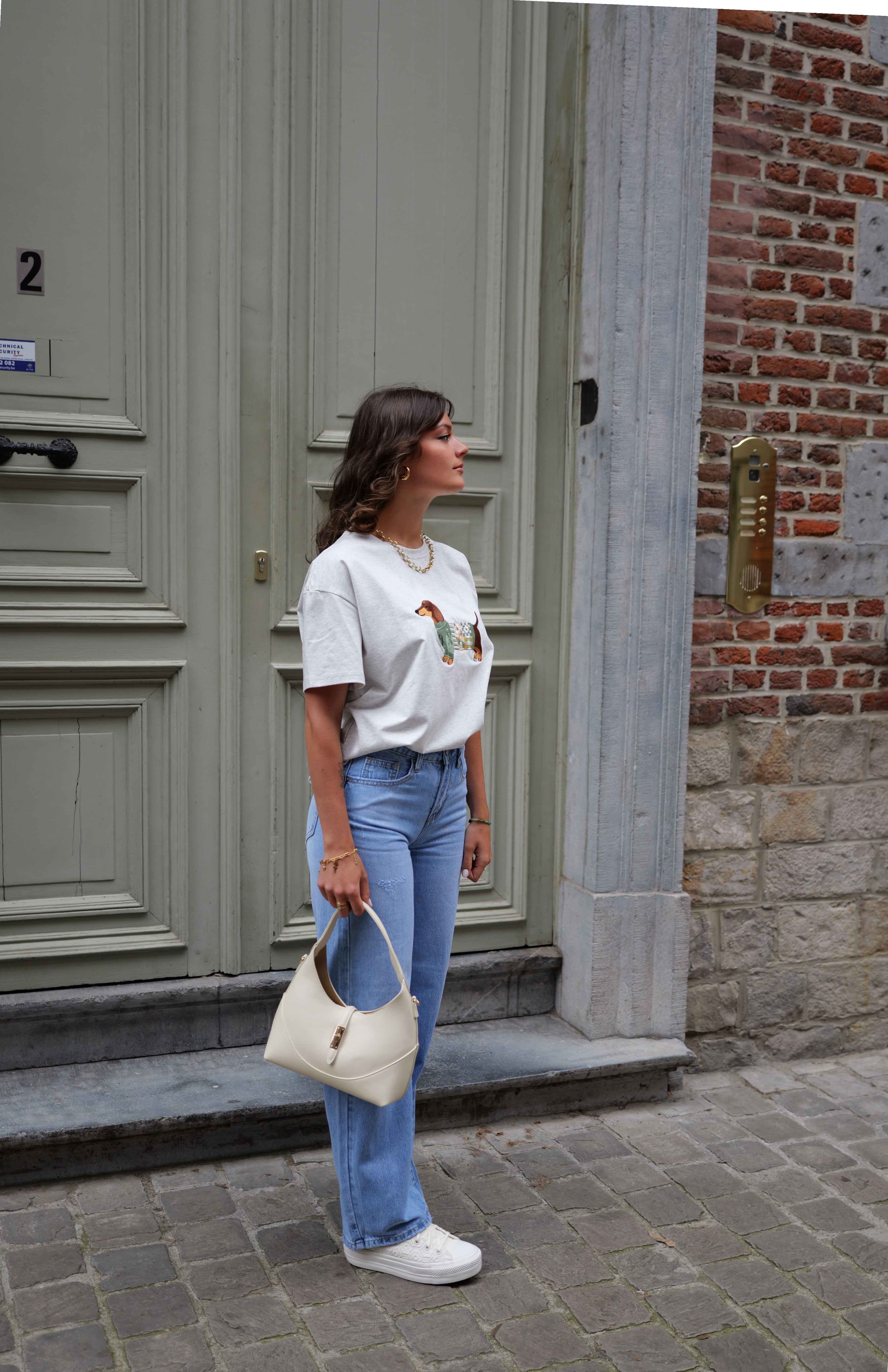 T-shirt gris teckel